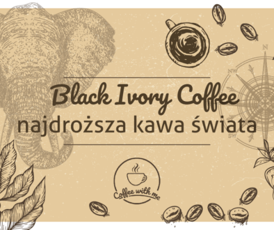 Najdroższa kawa świata - black ivory coffee